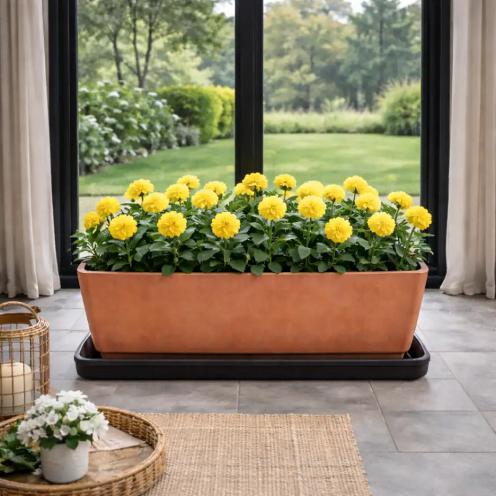 Soucoupe jardinière rectangulaire 80 cm