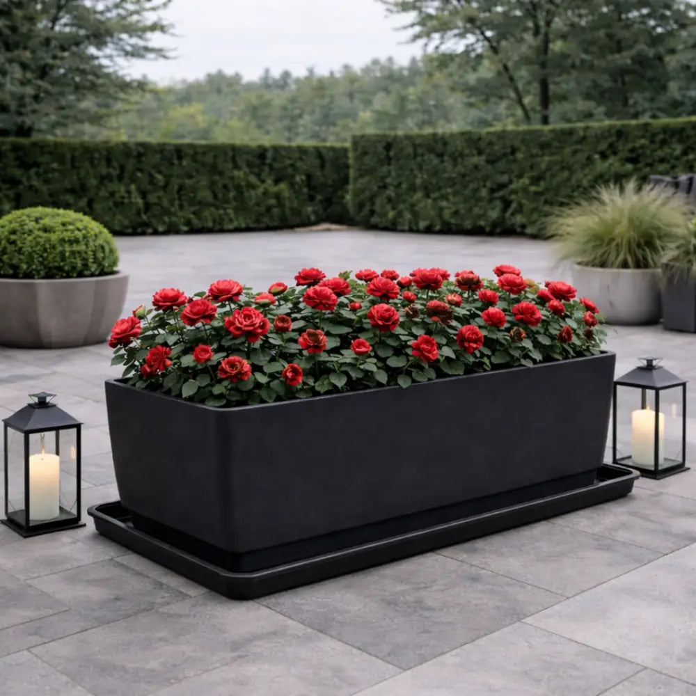 Soucoupe jardinière rectangulaire 80 cm