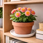 Soucoupe pot de fleur 40 cm