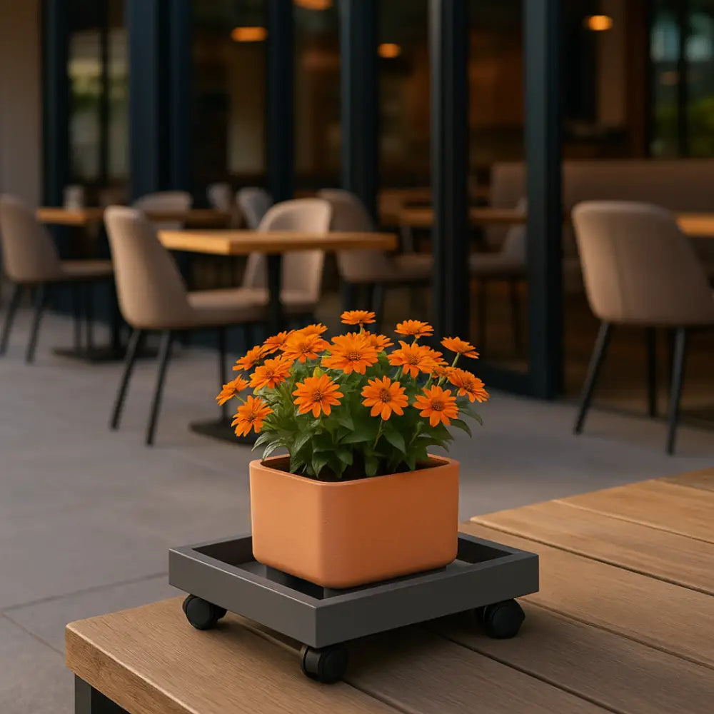 Soucoupe pot de fleur carré 30 cm