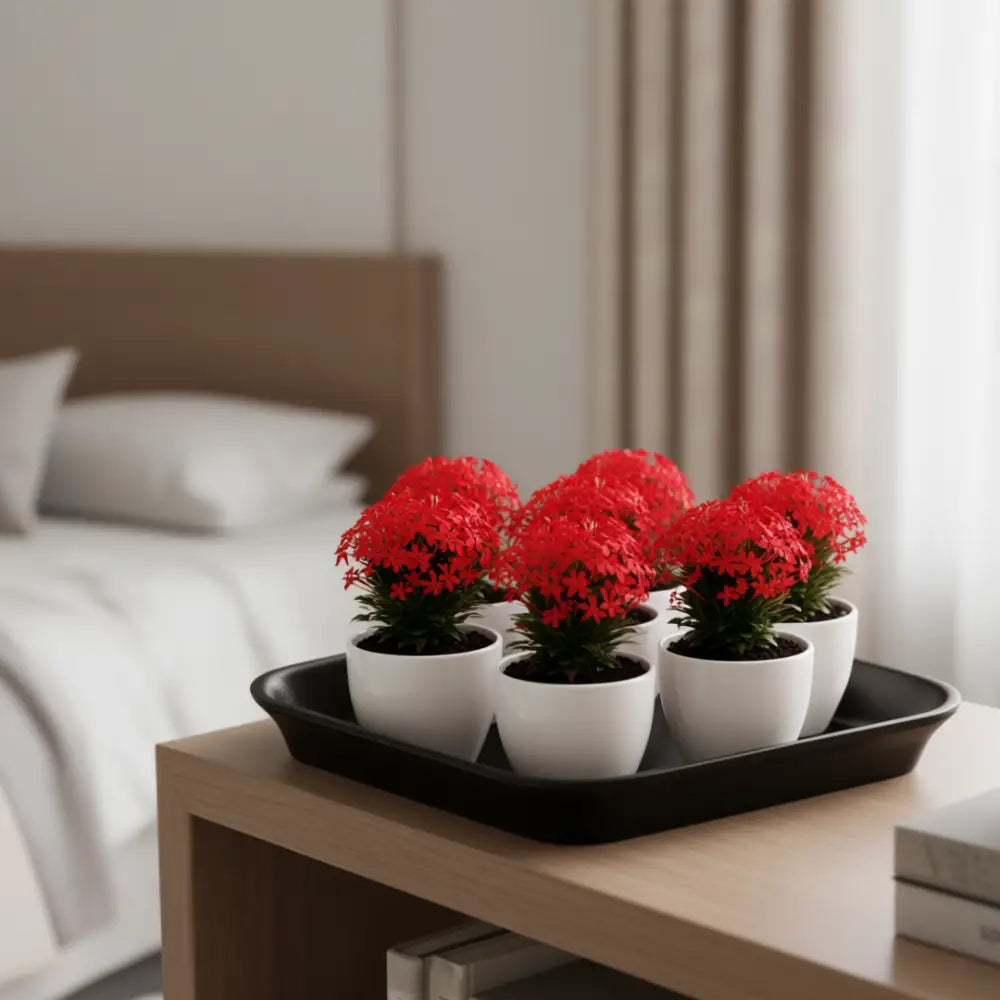 Soucoupe pot de fleur carré 50 cm