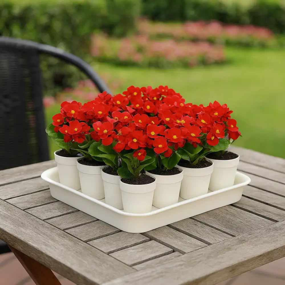 Soucoupe pot de fleur carré 50 cm - Blanc