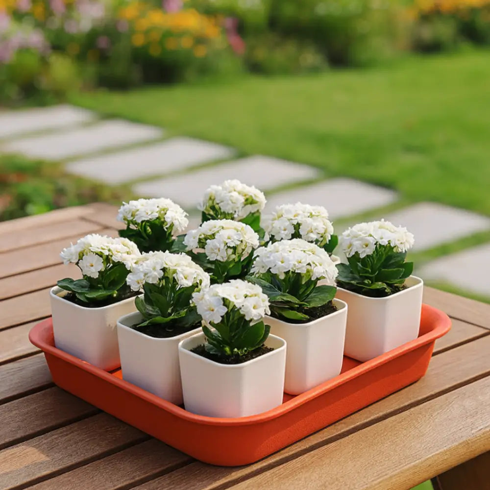 Soucoupe pot de fleur carré 50 cm - Orange