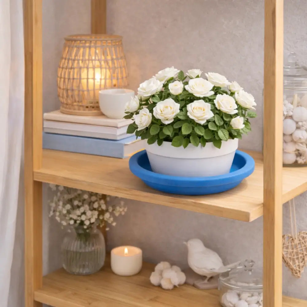 Soucoupe pot de fleur terre cuite bleue