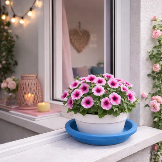 Soucoupe pot de fleur terre cuite bleue