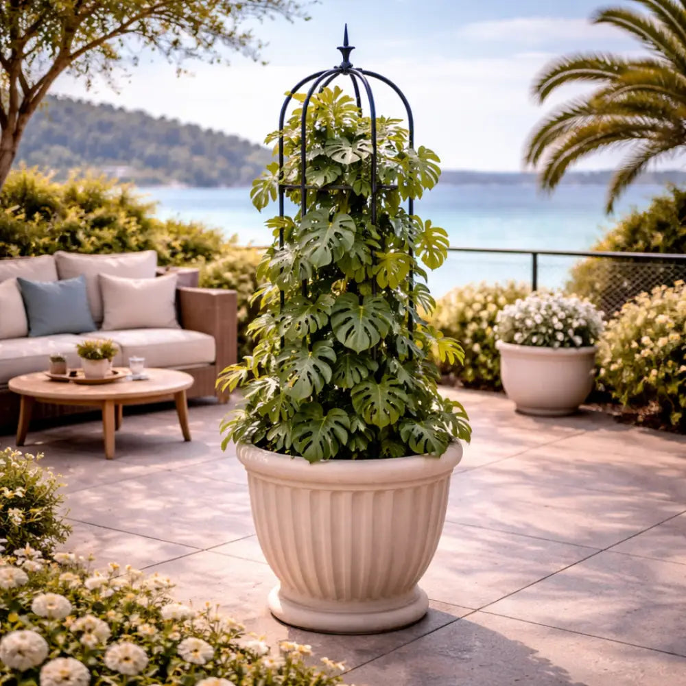 Support métallique pour plantes grimpantes