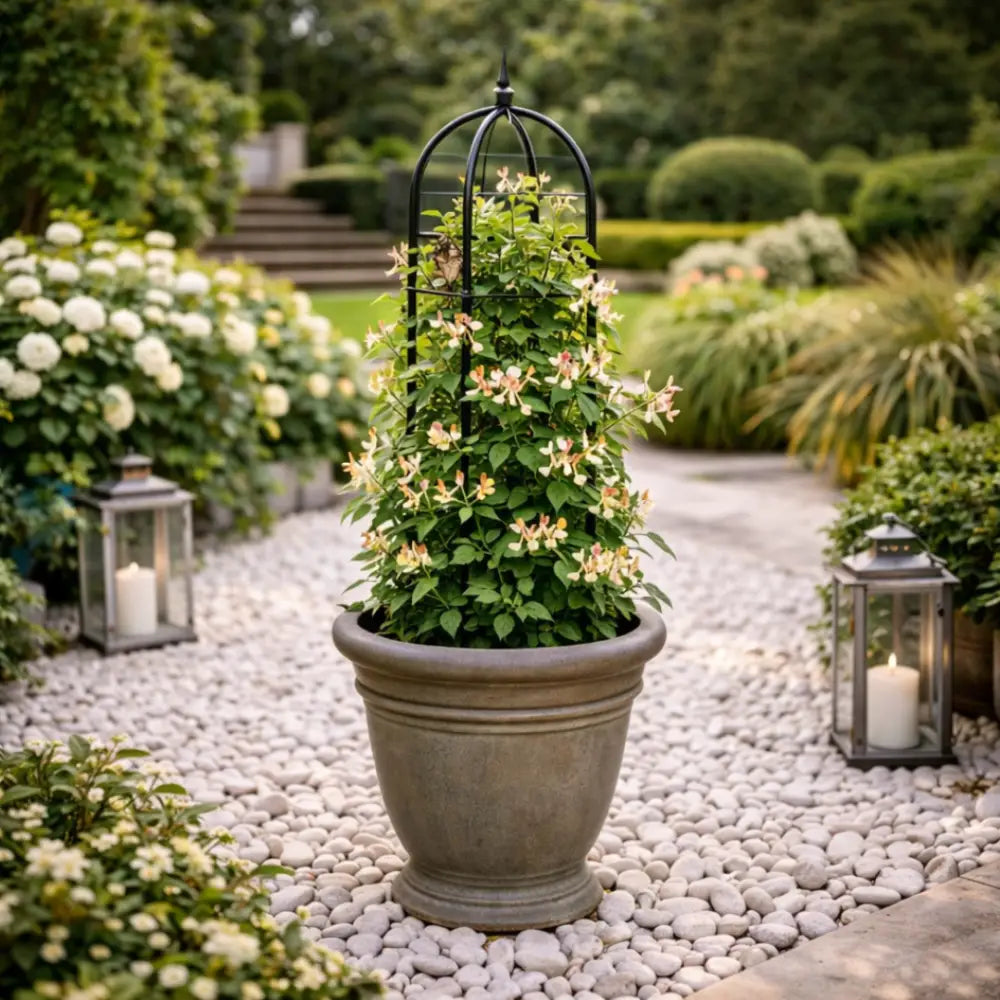 Support métallique pour plantes grimpantes