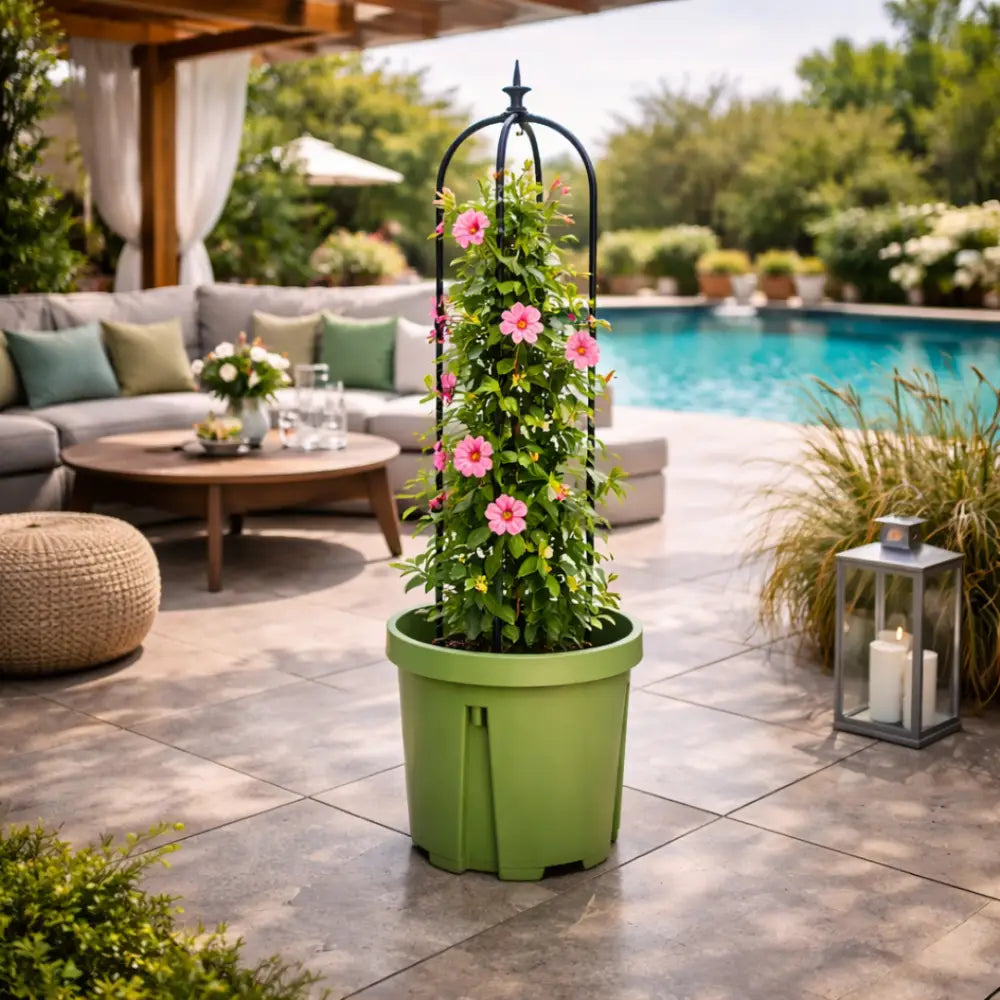 Support métallique pour plantes grimpantes