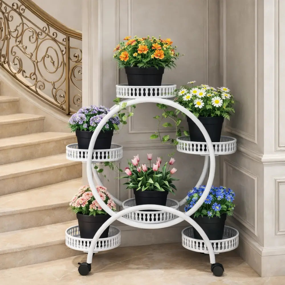 Support multiple pour plante