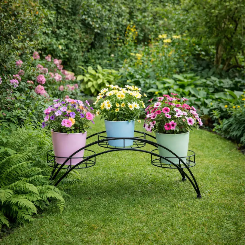 Support plante demi cercle