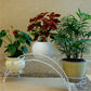 Support plante demi cercle - Blanc