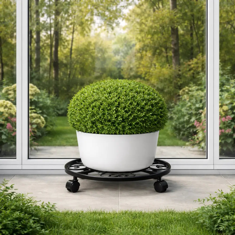 Support plante fenetre