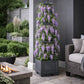Support plante grimpante