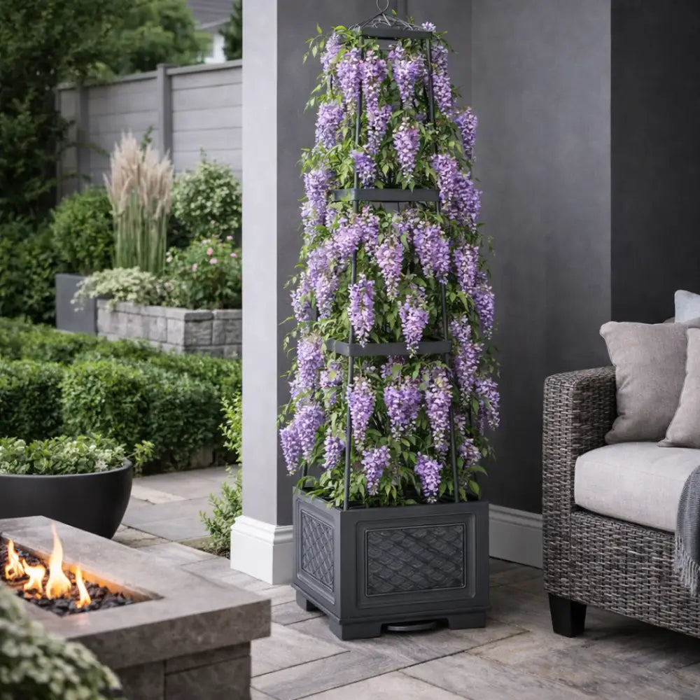 Support plante grimpante