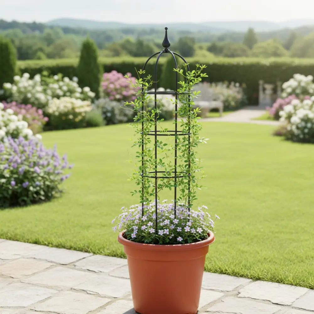 Support plante grimpante extérieur