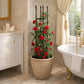 Support plante grimpante interieur