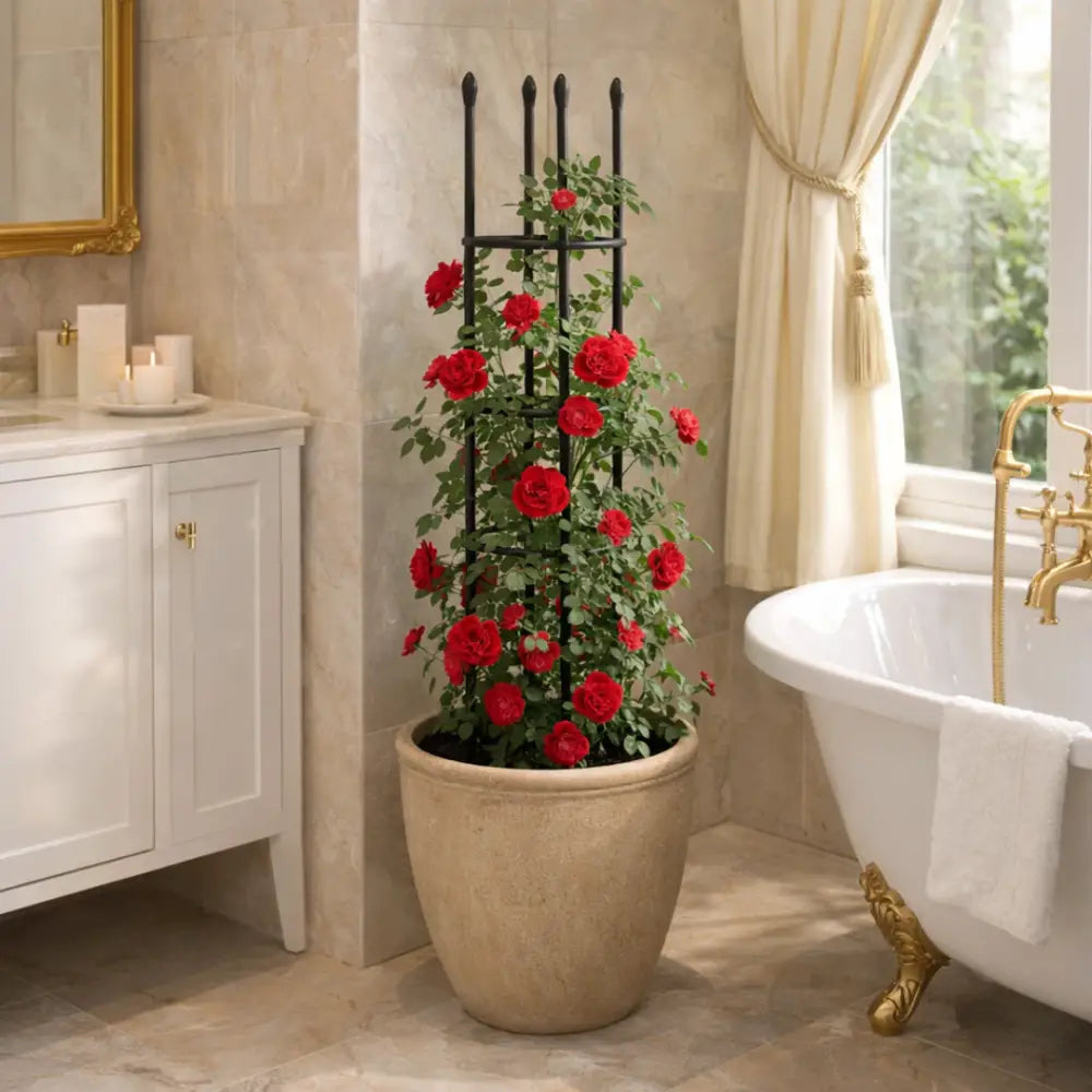 Support plante grimpante interieur