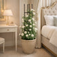 Support plante grimpante interieur