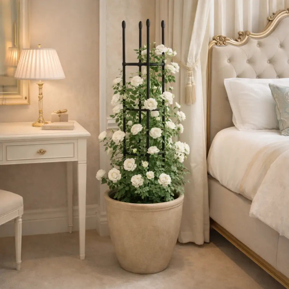 Support plante grimpante interieur