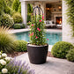 Support plante grimpante jardin