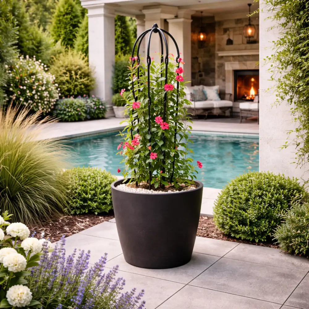 Support plante grimpante jardin