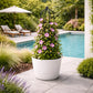 Support plante grimpante jardin
