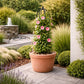 Support plante grimpante jardin