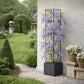 Support plante grimpante terrasse