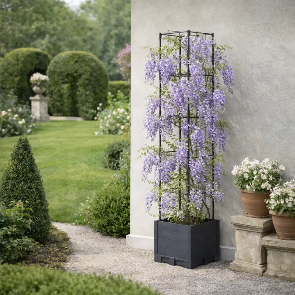Support plante grimpante terrasse