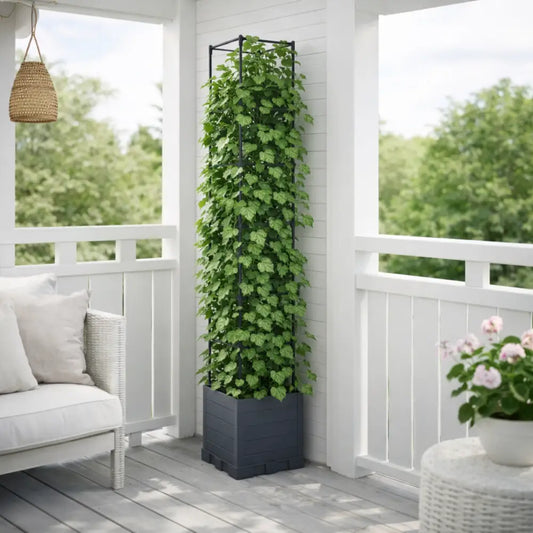 Support plante grimpante terrasse