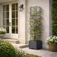 Support plante grimpante terrasse