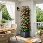 Support plante grimpante terrasse