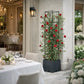 Support plante grimpante terrasse