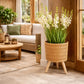 Support plante osier