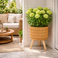 Support plante osier