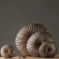 Vase circulaire