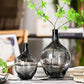 Vase dame jeanne noir
