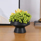 Vase feng shui - Décoration intérieure