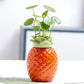 Vase fruit